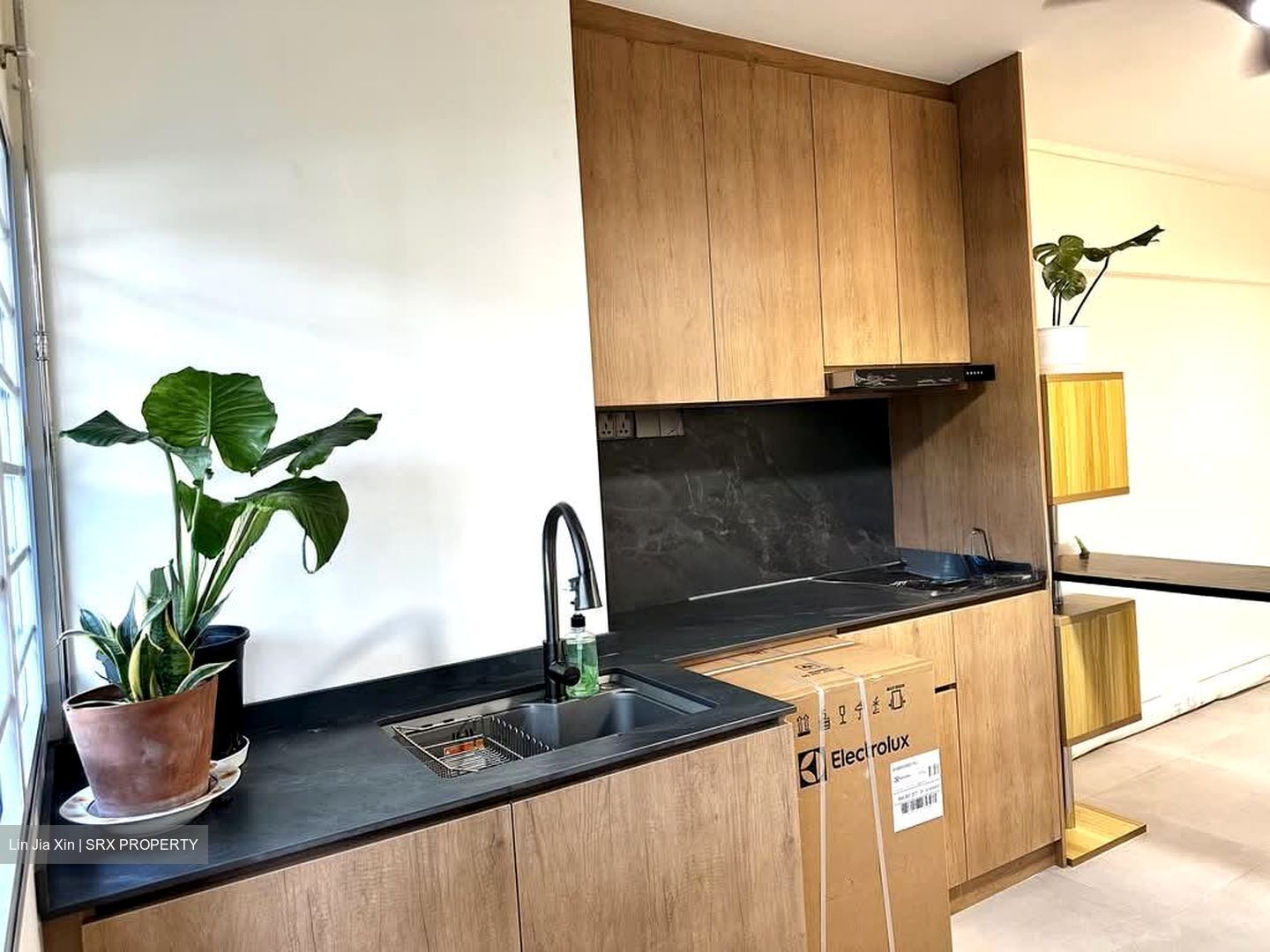 Haig Road (Geylang),  #593652311